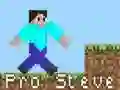 Mchezo Pro Steve online