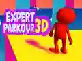 Mchezo Mtaalamu wa Parkour 3D online