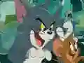 Mchezo Picha ya Jerry na Tom online