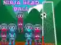 Mchezo Kichwa ya Ninja online