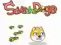 Mchezo Okokoa Doge online Mchezo Okokoa Doge online