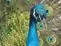 Mchezo Kifaa cha Puzzle online Mchezo Kifaa cha Puzzle online