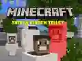 Mchezo Minecraft Skibidi Choo Kilichofichwa online