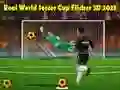 Mchezo Kombe la Ulimwengu la Soka la Kweli Flicker 3D 2023 online