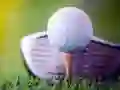 Mchezo Changamoto ya Golf Iliyounganishwa online