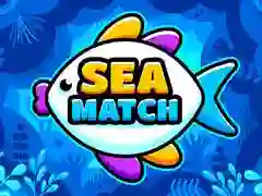 Mchezo Mechi ya Bahar online