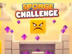 Mchezo Changamoto ya Sponji online Mchezo Changamoto ya Sponji online