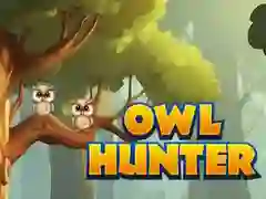 Mchezo Mwindaji wa Bundi online Mchezo Mwindaji wa Bundi online