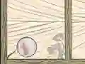 Mchezo Bubble Quod online