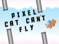 Mchezo Paka wa pixel hawezi kuruka online