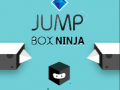 Mchezo Ninja Sanduku la Kuruka online