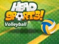 Mchezo Head Sports Mpira wa Wavu online