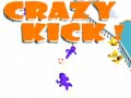 Mchezo Mpira wa Kichaa! online