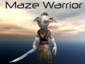 Mchezo Shujaa wa Labyrinth online