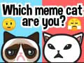 Mchezo Wewe ni paka wa meme gani? online