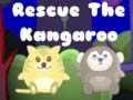 Mchezo Okokoo kangaroo online