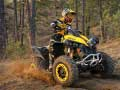 Mchezo ATV Offroad Puzzle online