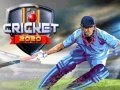 Mchezo Kricket 2020 online
