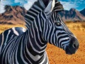Mchezo Mvunja wa Zebra online