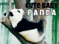 Mchezo Panda Mtoto Mrembo online