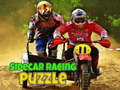Mchezo Picha ya Mbio ya Sidecar online