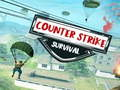 Mchezo Counter Strike K survivorship online
