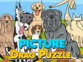 Mchezo Picha Drag Puzzle online