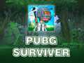 Mchezo PUBG Mshindi online