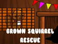 Mchezo Uokoaji Squirrel ya Brown online