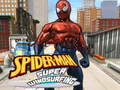 Mchezo Spiderman Skating online