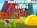 Mchezo Kukuzu Mchezaji wa Macaw online