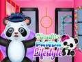 Mchezo Naughty Panda Mtindo wa Maisha online