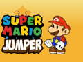 Mchezo Super Mario Ruker online
