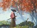 Mchezo Reflekta ya Samurai online