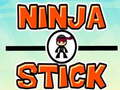 Mchezo Ghavana ya Ninja online
