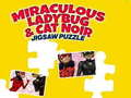 Mchezo Miraculous Ladybug & Cat Noir: Picha online