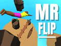 Mchezo Bwana Flip online