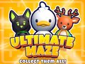 Mchezo Ultimate Labirinth! Kusanya zote! online