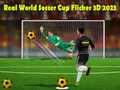 Mchezo Kombe la Ulimwengu la Soka la Kweli Flicker 3D 2023 online