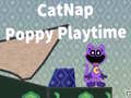 Mchezo Mtoto wa paka: Poppy Playtime: Puzzles online