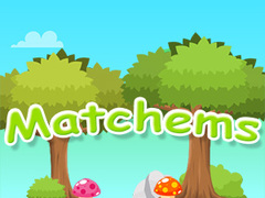 Mchezo Matchems online