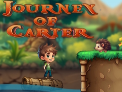 Mchezo Safari ya Carter online