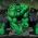 Hulk Hulk mtandaoni