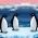 Penguins Penguins mtandaoni